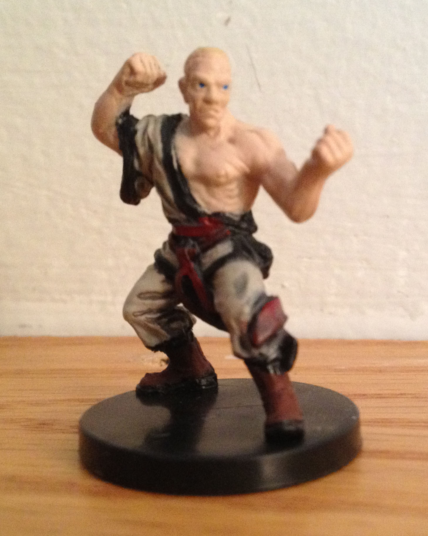 d&d miniatures monk