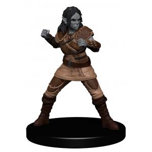 Agata Piccardo - Dungeons & Dragons - Half-Orc Fighter