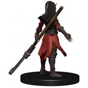 Pathfinder Battles Kingmaker 16/46 Jaethal Elf Inquisitor 