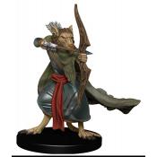 Valerie, Human Fighter - Kingmaker #36 Pathfinder Battles D&D Paladin  Miniature - The ICT University